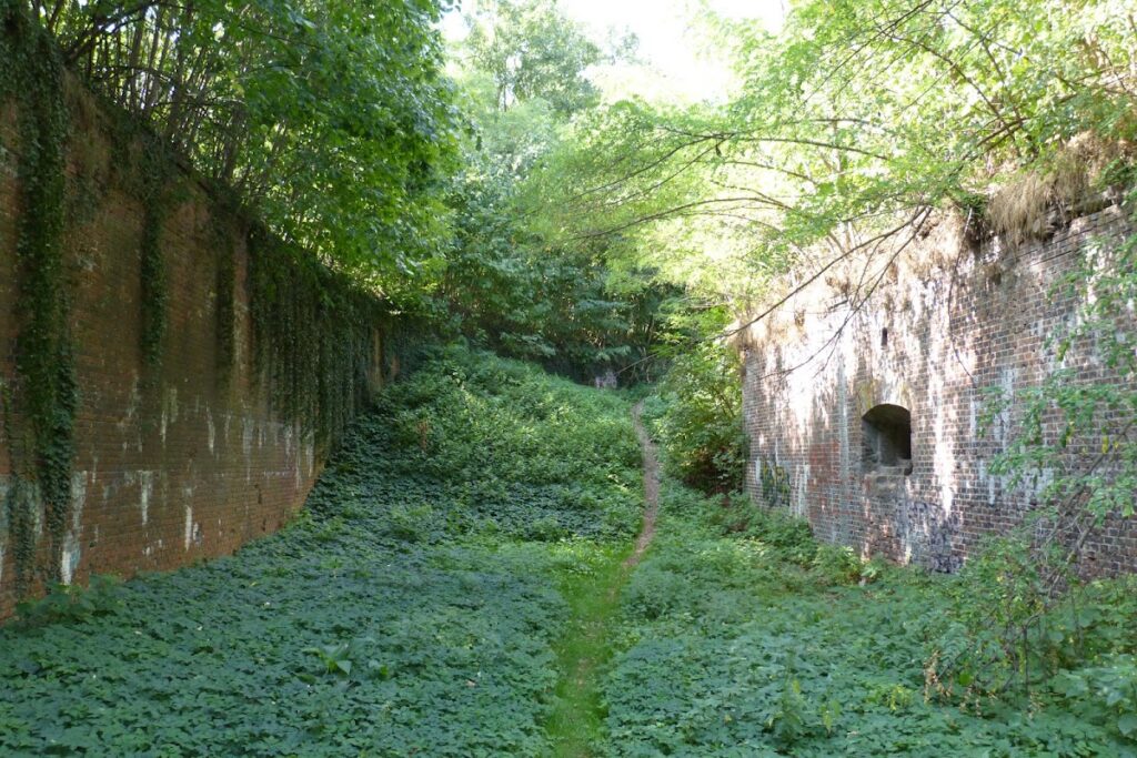 Fort Gwiaździsty: A Historic Fortress in Głogów, Poland 2 Fort Gwiaździsty