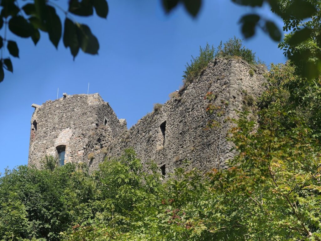 Castle of Savignone