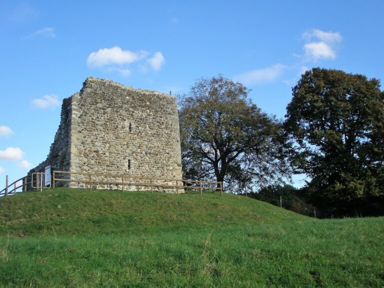 Anwil Castle Ruin: A Medieval Residential Tower in Switzerland