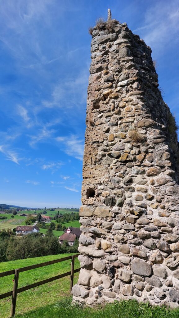 Anwil Castle Ruin: A Medieval Residential Tower in Switzerland 2 Anwil Castle Ruin