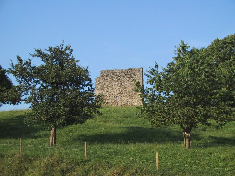 Anwil Castle Ruin: A Medieval Residential Tower in Switzerland