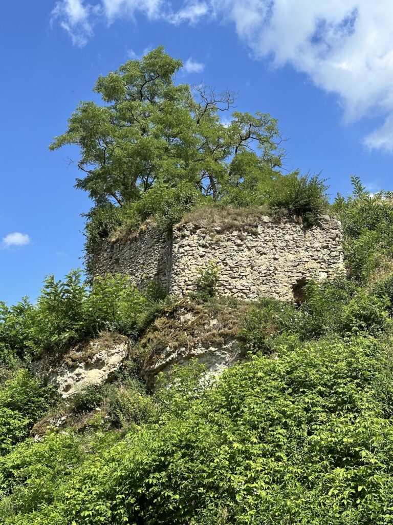 Podgrodzie Castle: A Fourteenth-Century Medieval Fortress in Poland 1 Podgrodzie Castle