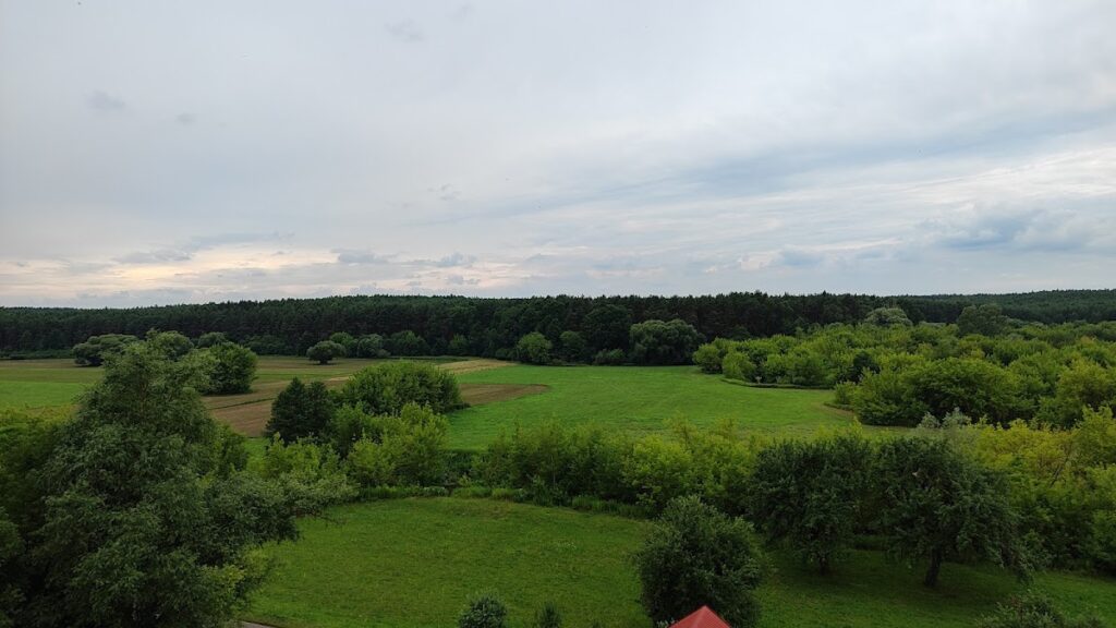 Podgrodzie Castle: A Fourteenth-Century Medieval Fortress in Poland 2 Podgrodzie Castle