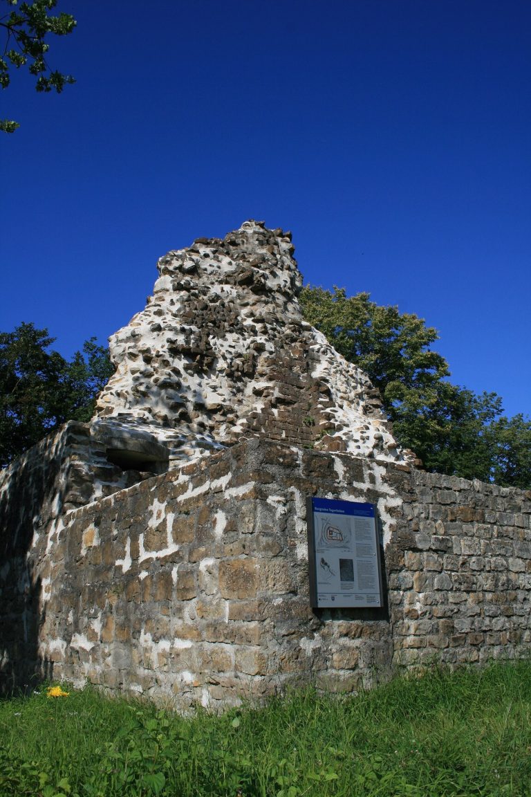 Ruine Tegerfelden: A Medieval Hilltop Castle in Switzerland