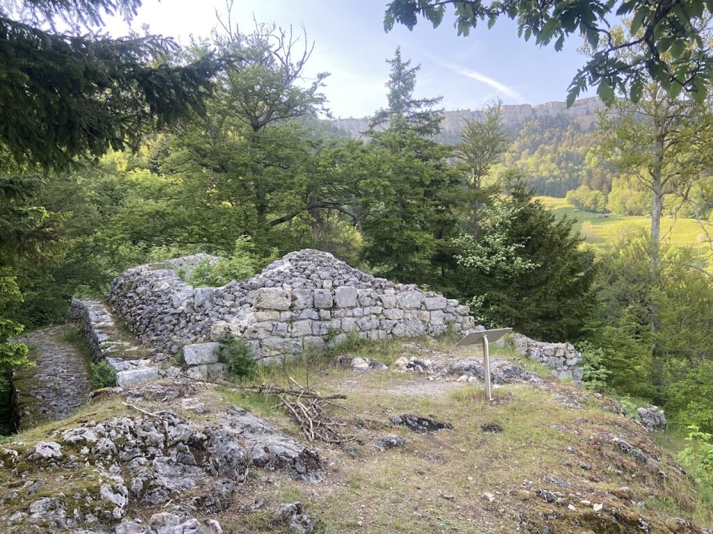Grenchen castle ruins (11th century)