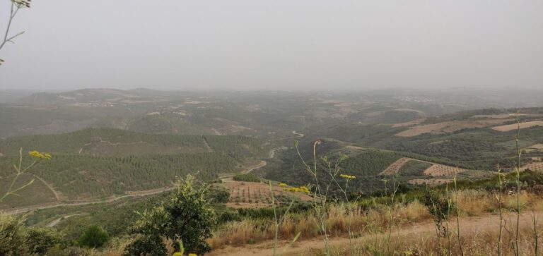 Fortaleza do Outeiro: A Medieval Frontier Fortification in Portugal