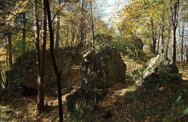 Castle in Myślenice: A Medieval Royal Customs and Watch Post