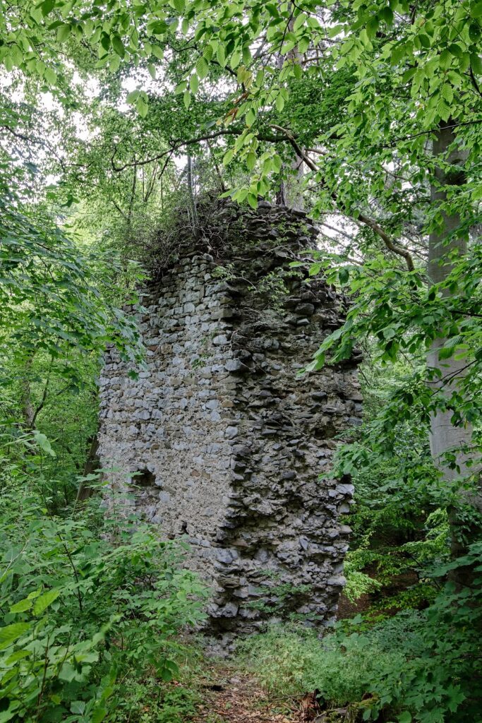 Holštejn Castle: A Medieval Hilltop Castle in Czechia 2 Holštejn Castle