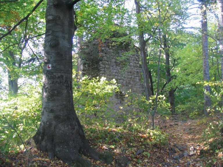 Holštejn Castle: A Medieval Hilltop Castle in Czechia