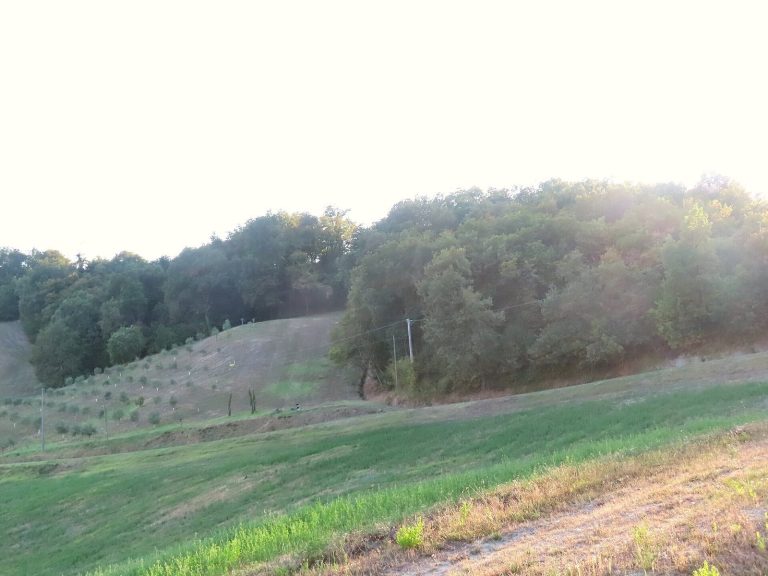 Monte Palero Castle: A Medieval Fortification in Italy