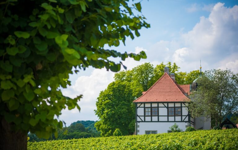 Berg- und Lusthaus Hoflößnitz: A Saxon Electoral Vineyard Residence in Germany