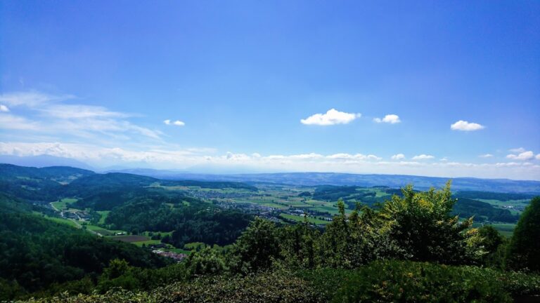 Festung Uetliberg: A Swiss Second World War Defensive Position