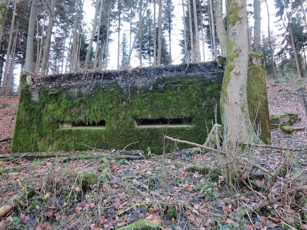 Festung Uetliberg: A Swiss Second World War Defensive Position 1 Festung Uetliberg