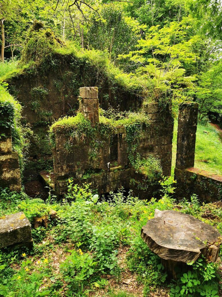 Pazo of Lourizán: A Galician Manor House and Forestry Research Estate 5 Pazo of Lourizán