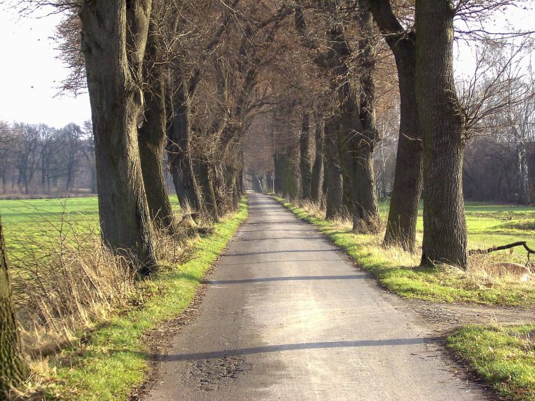 Haus Heyde: A Former Aristocratic Estate in Unna, Germany