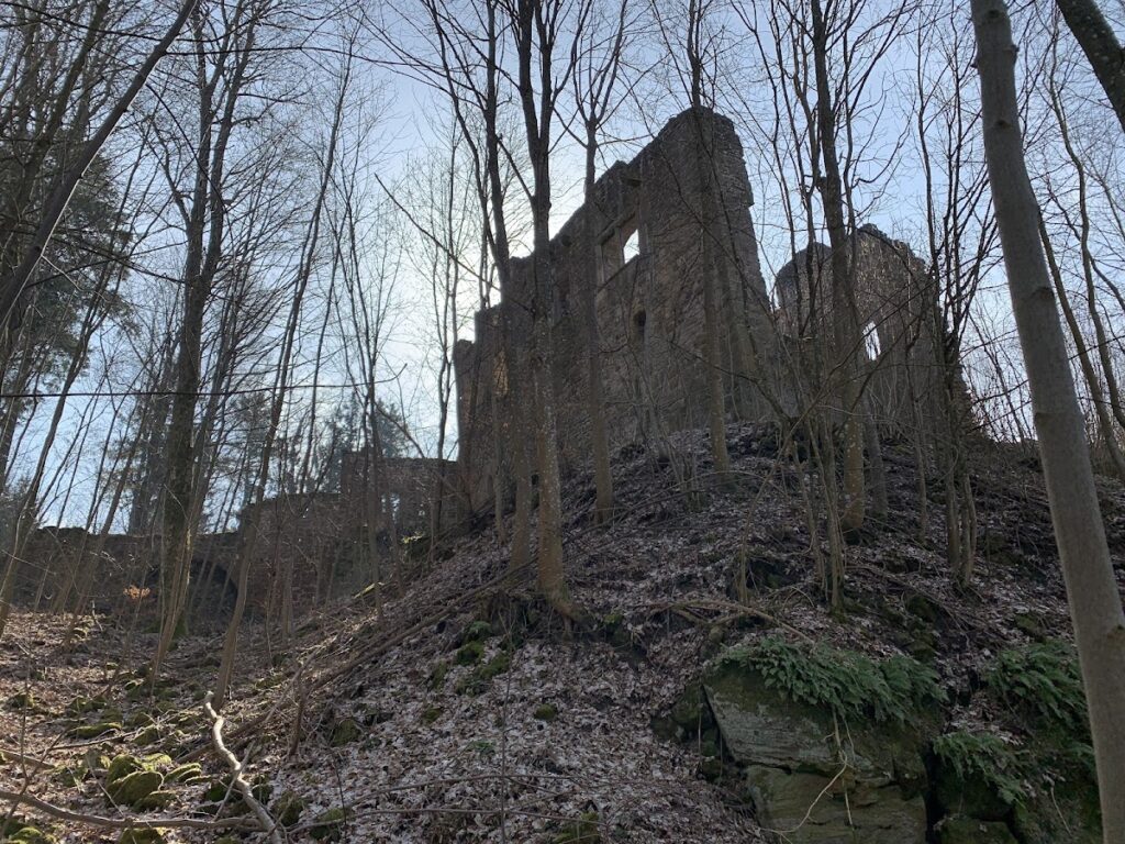 Rauheneck Castle: A Medieval Administrative Castle in Germany 3 Burgruine