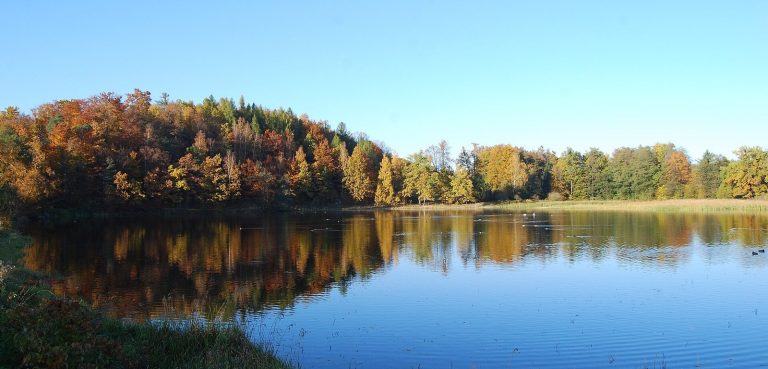 Landscape Park in Bukowiec: A Historic English Landscape Estate in Poland
