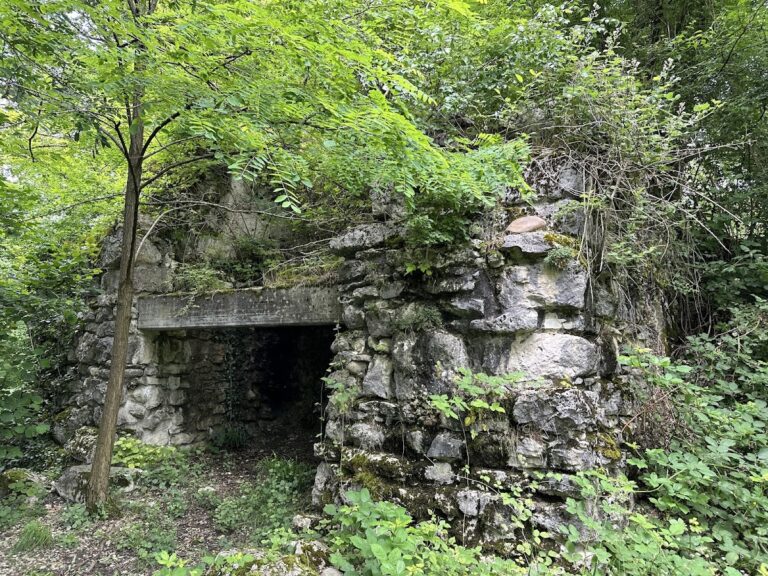 Ruine Göskon: An Earthwork Castle in Switzerland