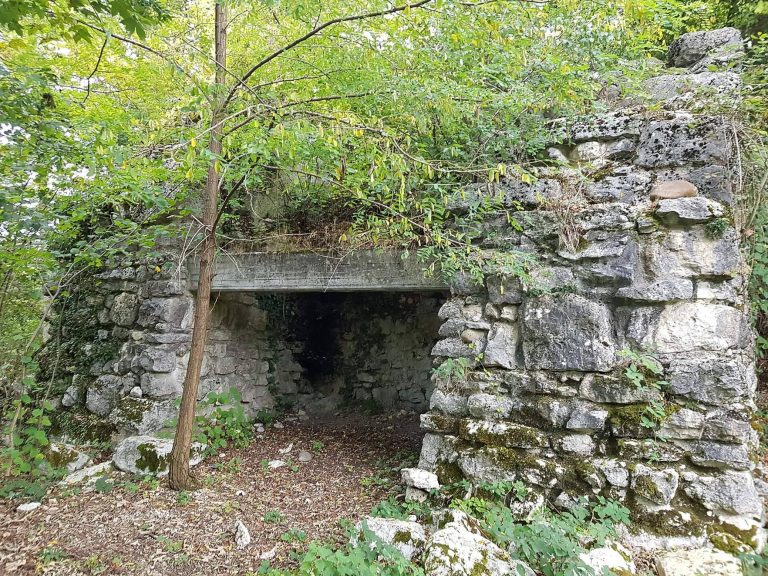 Ruine Göskon: An Earthwork Castle in Switzerland