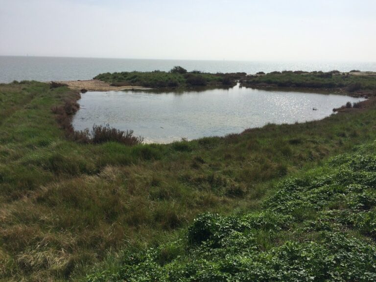 Tudor Blockhouse, Colchester: a Tudor coastal artillery fort