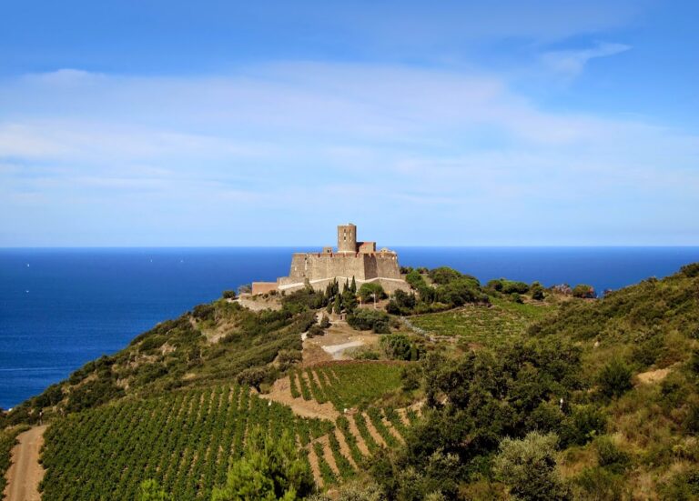 Fort Saint-Elme: A Renaissance Star Fort in France