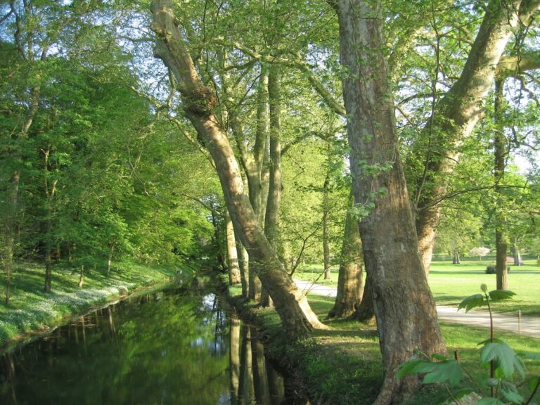 Château de Segrez: An Eighteenth-Century Country House and Landscape Garden in France