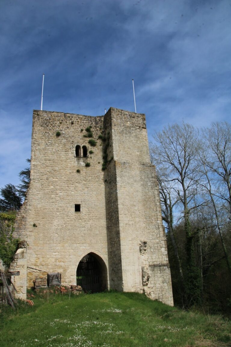 Castrum de Pommiers: A Medieval Fortified Settlement in Saint-Félix-de-Foncaude