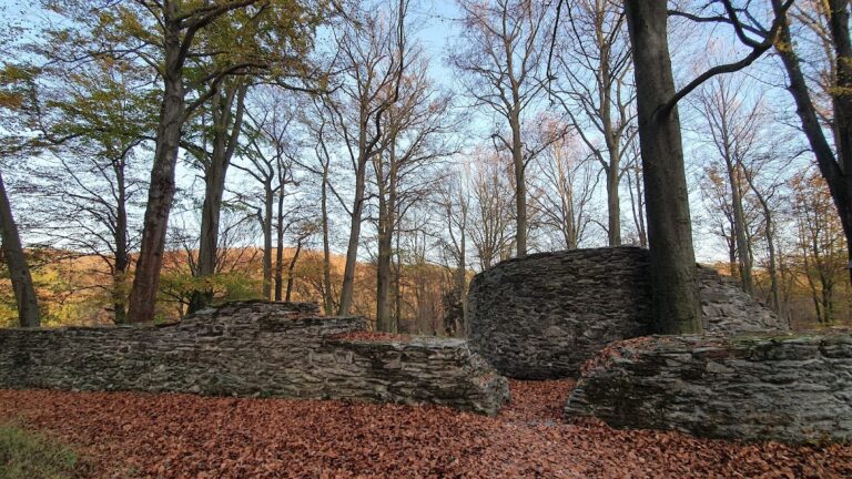 Isenburg: The Ruins of a Medieval Hill Castle in Germany