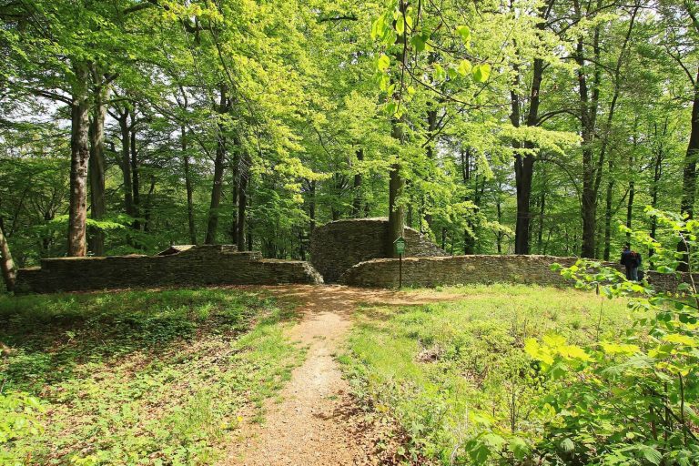 Isenburg: The Ruins of a Medieval Hill Castle in Germany