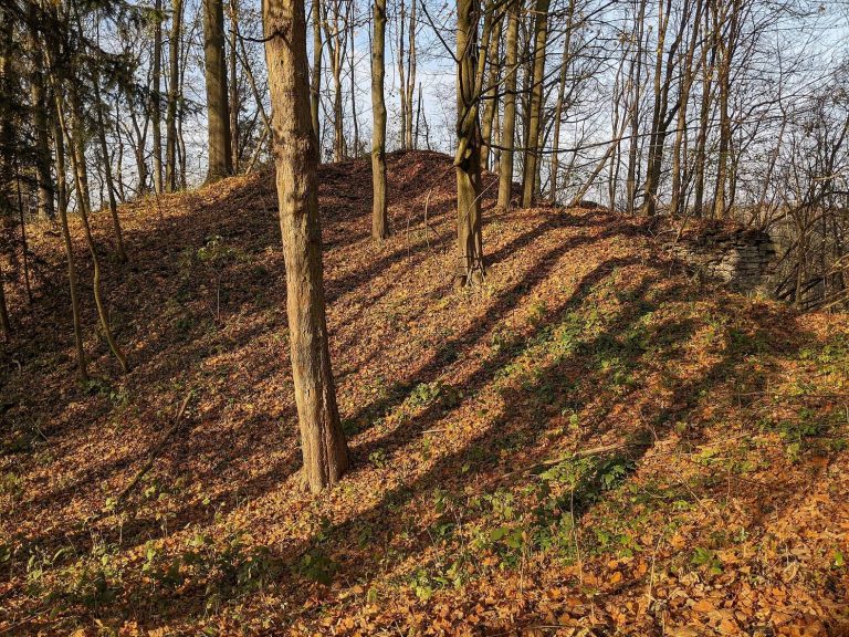 Rýzmburk: A Gothic Castle Ruin in Czechia