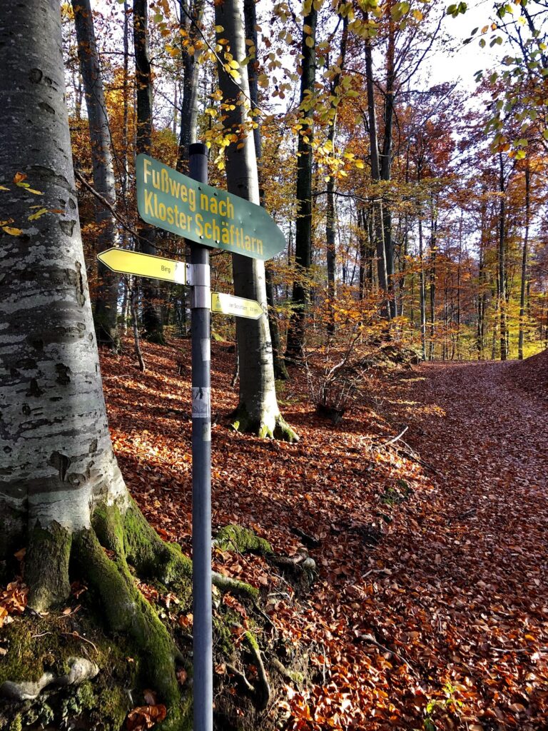 Birg (Hohenschäftlarn): An Ottonian Section Fortification in Germany