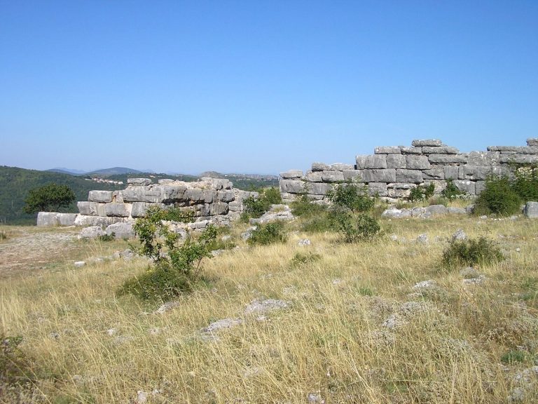 Daorson: An Illyrian Hill Fort and Capital