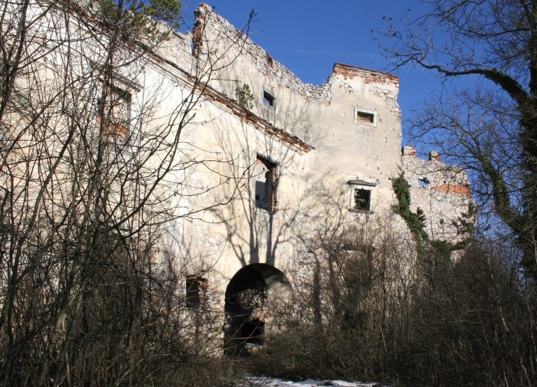 Starhemberg Castle Ruins: A Medieval Hilltop Fortress in Austria