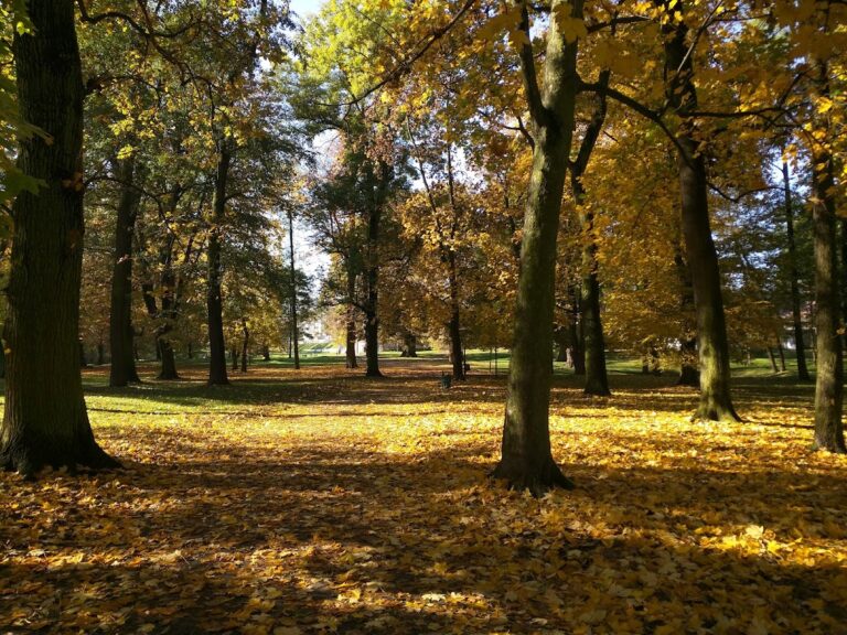 Jerzmanowski Park: A Historic Palace-and-Park Estate in Kraków