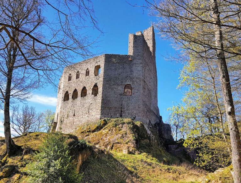 Château de Spesbourg: A Medieval Fortified Castle in France