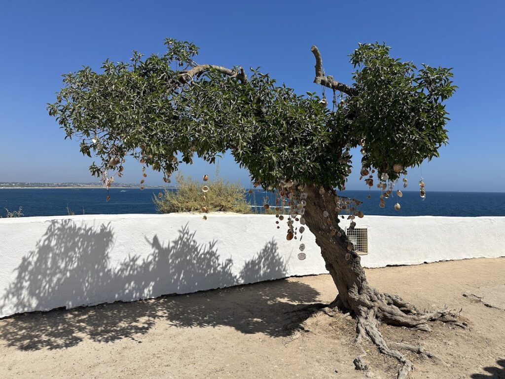 Fort of Nossa Senhora da Rocha: A Coastal Fortification and Chapel in Portugal 3 Fort of Nossa Senhora da Rocha
