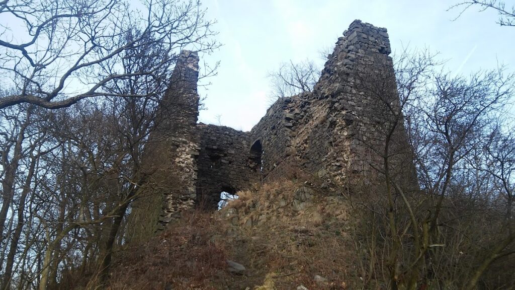 Ronov Castle: A Medieval Gothic Fortress in Czechia 3 Ronov Castle