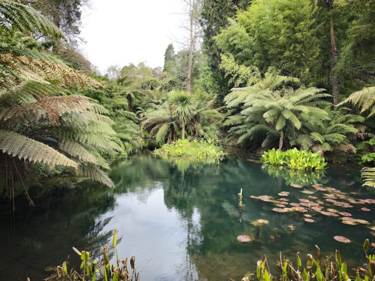 Lost Gardens of Heligan: A Restored Historic Garden Estate in Cornwall