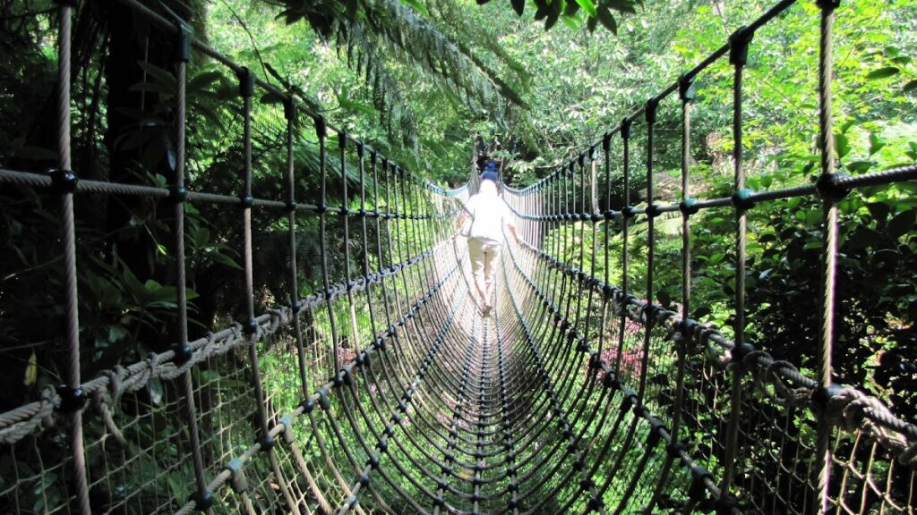Lost Gardens of Heligan: A Restored Historic Garden Estate in Cornwall 4 Lost Gardens of Heligan