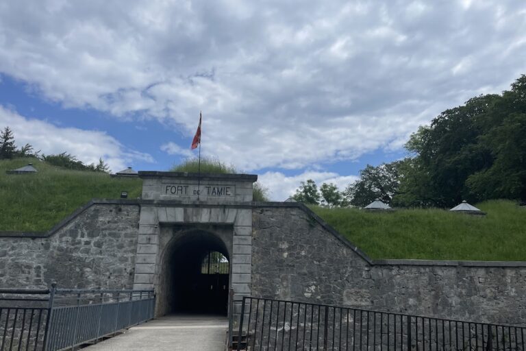 Fort de Tamié: An Alpine Fort in the Albertville Fortified Position
