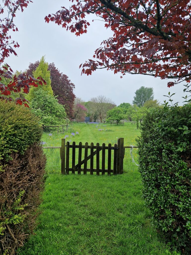 Fairfield House: A Historic Manor House in Somerset