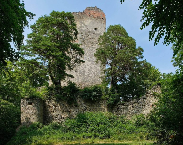 Ruine Altbodman: A Medieval Castle Ruin in Germany