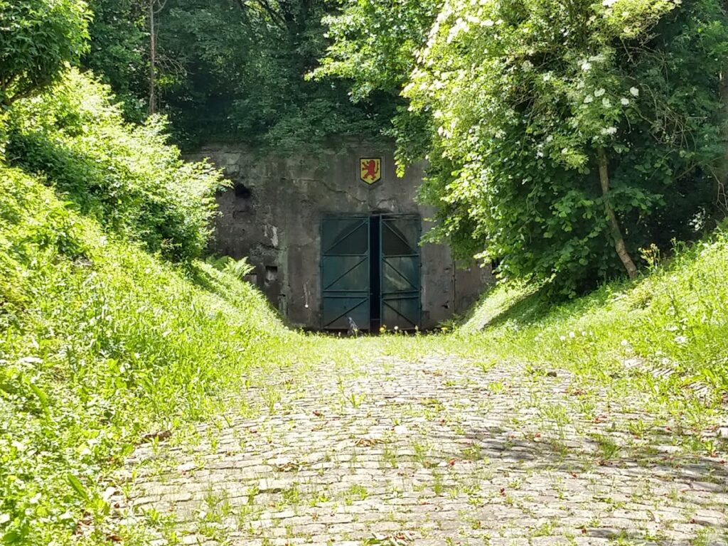 Fort de Boncelles: A Belgian Fortress of the Liège Defensive Ring 1 Fort de Boncelles