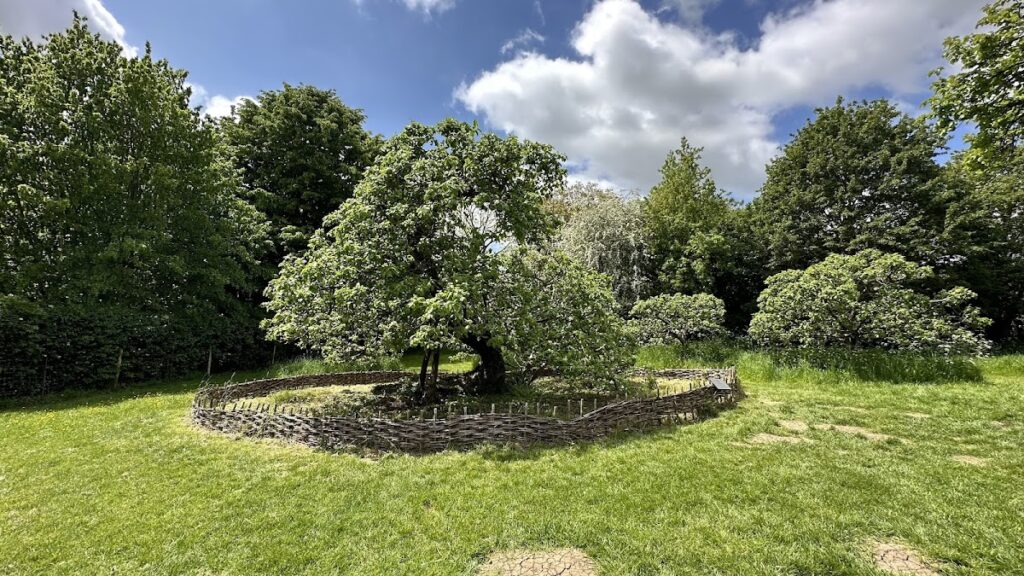 Woolsthorpe Manor: Newton’s Childhood Home and Scientific Heritage 3 Woolsthorpe Manor