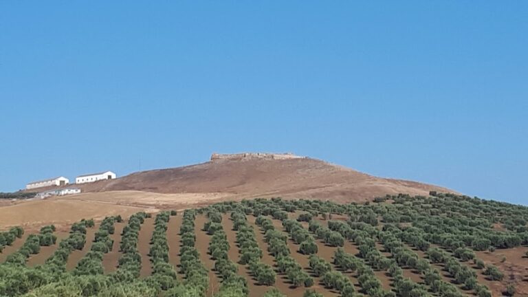 Fuentetéjar Castle: A Medieval Rural Fortress in Spain