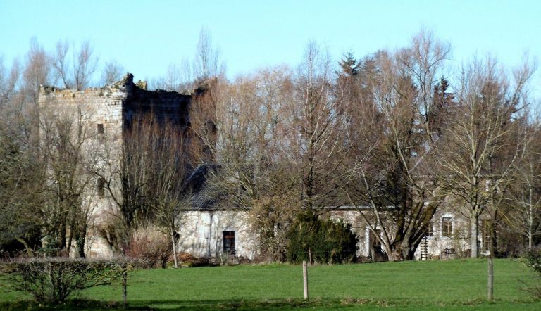 Burg Raaf: A Ruined Medieval Residential Tower in Belgium