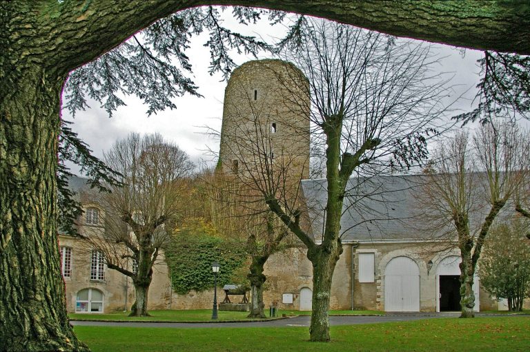 Château de Château-Renault: A Medieval Fortified Castle in France