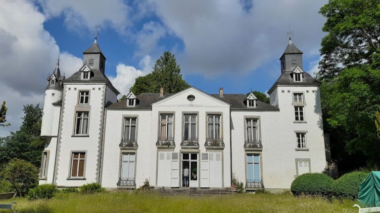 Thozée Castle: A Historic Estate and Artistic Gathering Place in Belgium