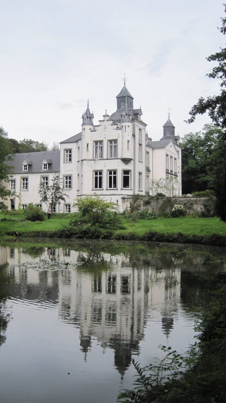 Thozée Castle: A Historic Estate and Artistic Gathering Place in Belgium