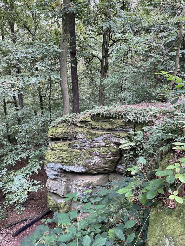 Teufelsstein: A High-Medieval Rock Castle in Germany 2 Teufelsstein